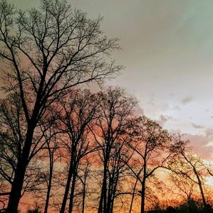 Meet your Posher, Candace